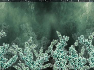 Velvet Magnolia (mint) - Bordüre - Jersey